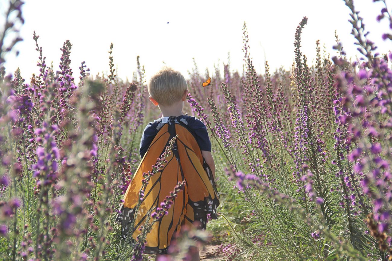 child in field