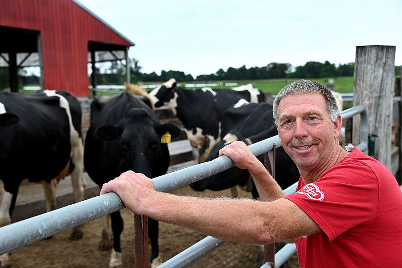 man with his cows