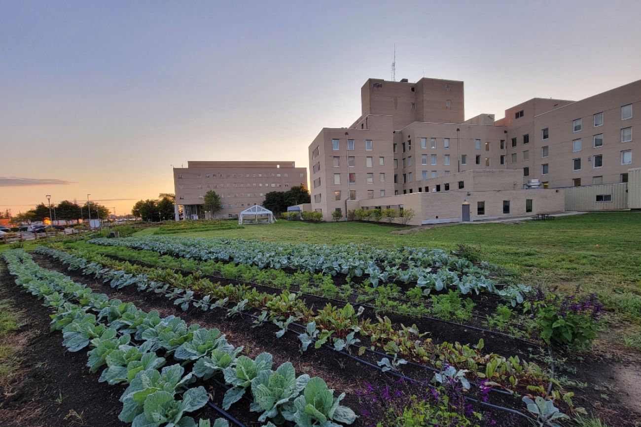 Garden in front of a building.