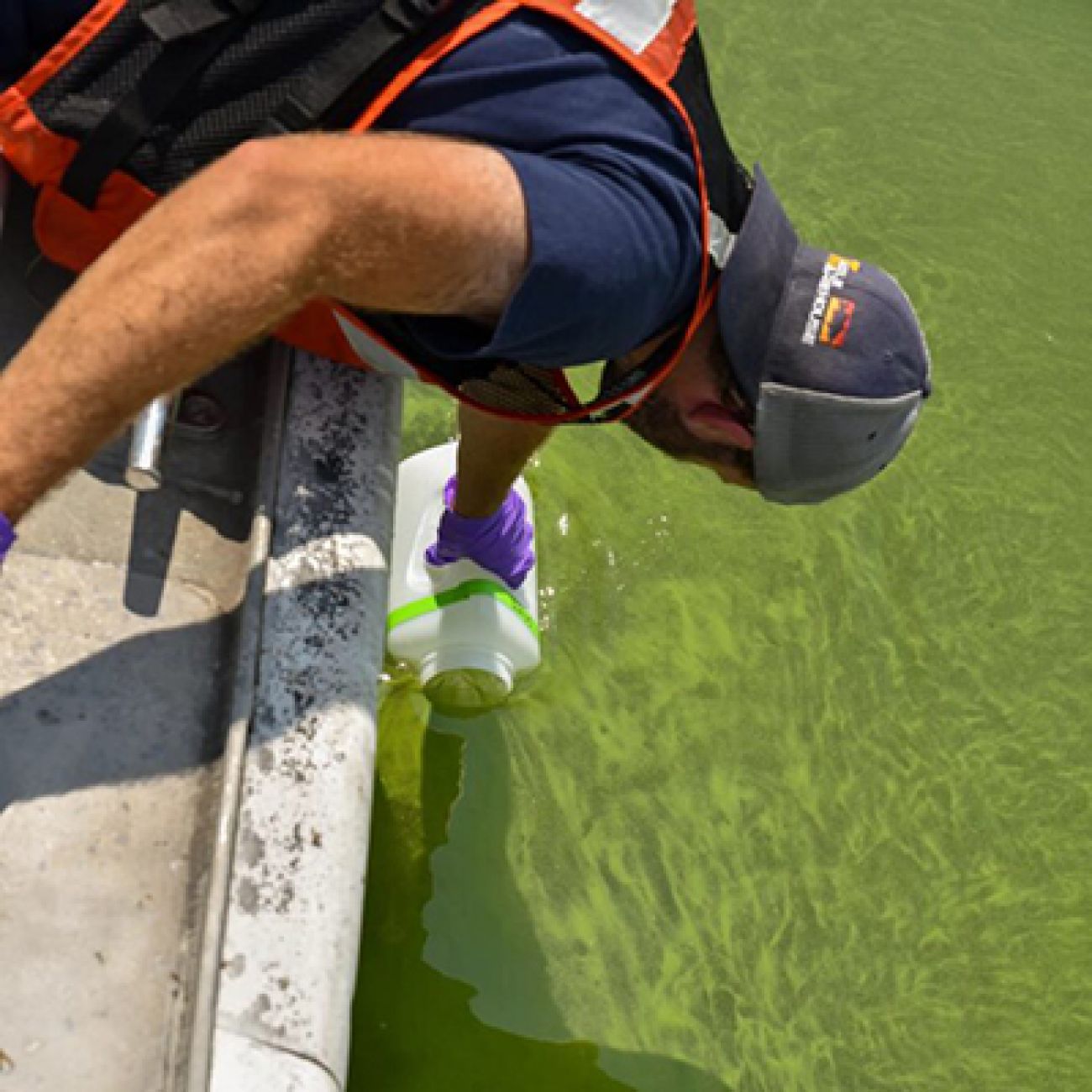 Andrew Camilleri taking a sample with a plastic container in water that looks green