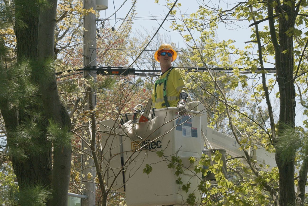 A utility worker a truck, near the tree