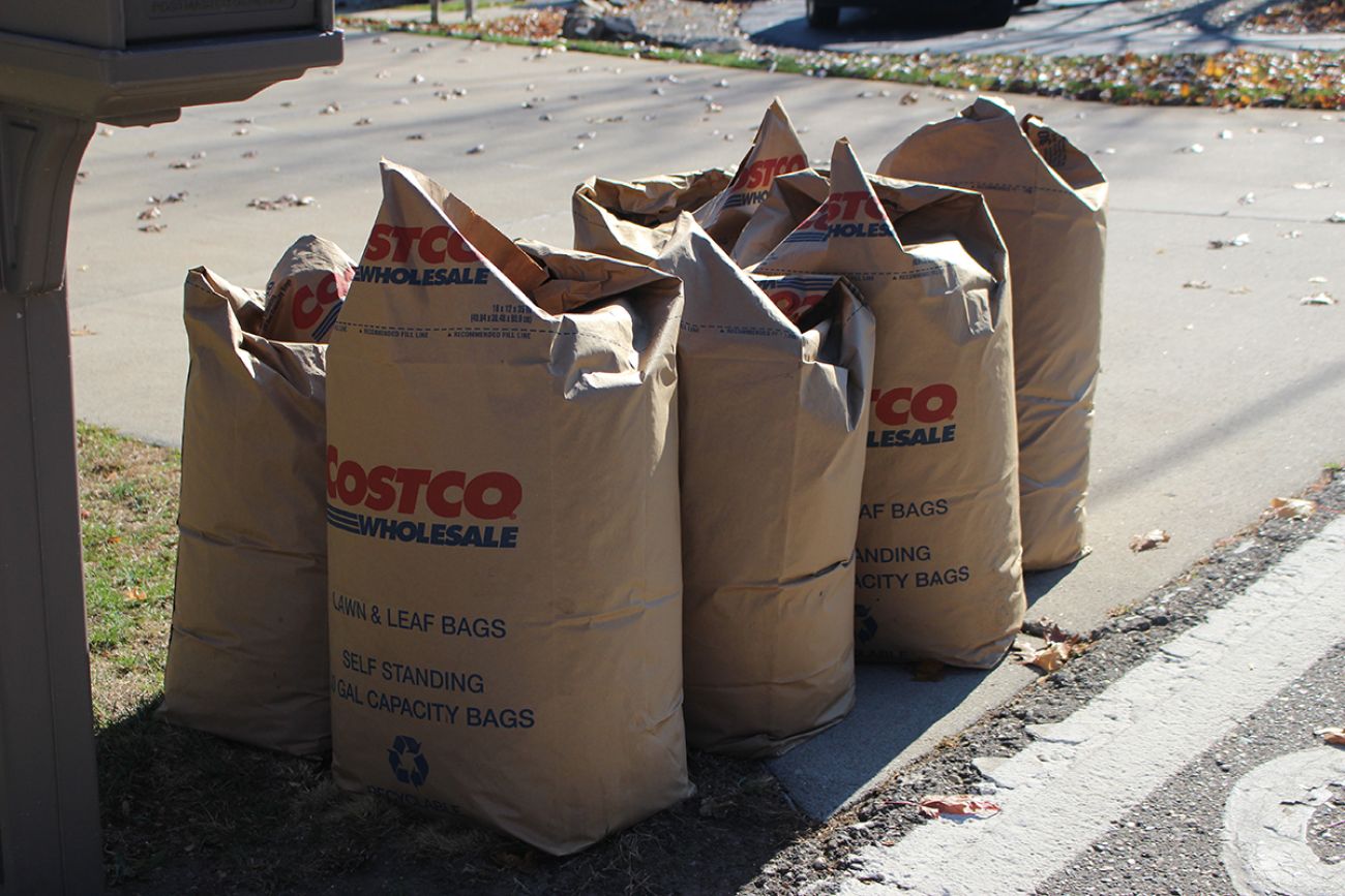 A bunch of yard waste in Costco bags