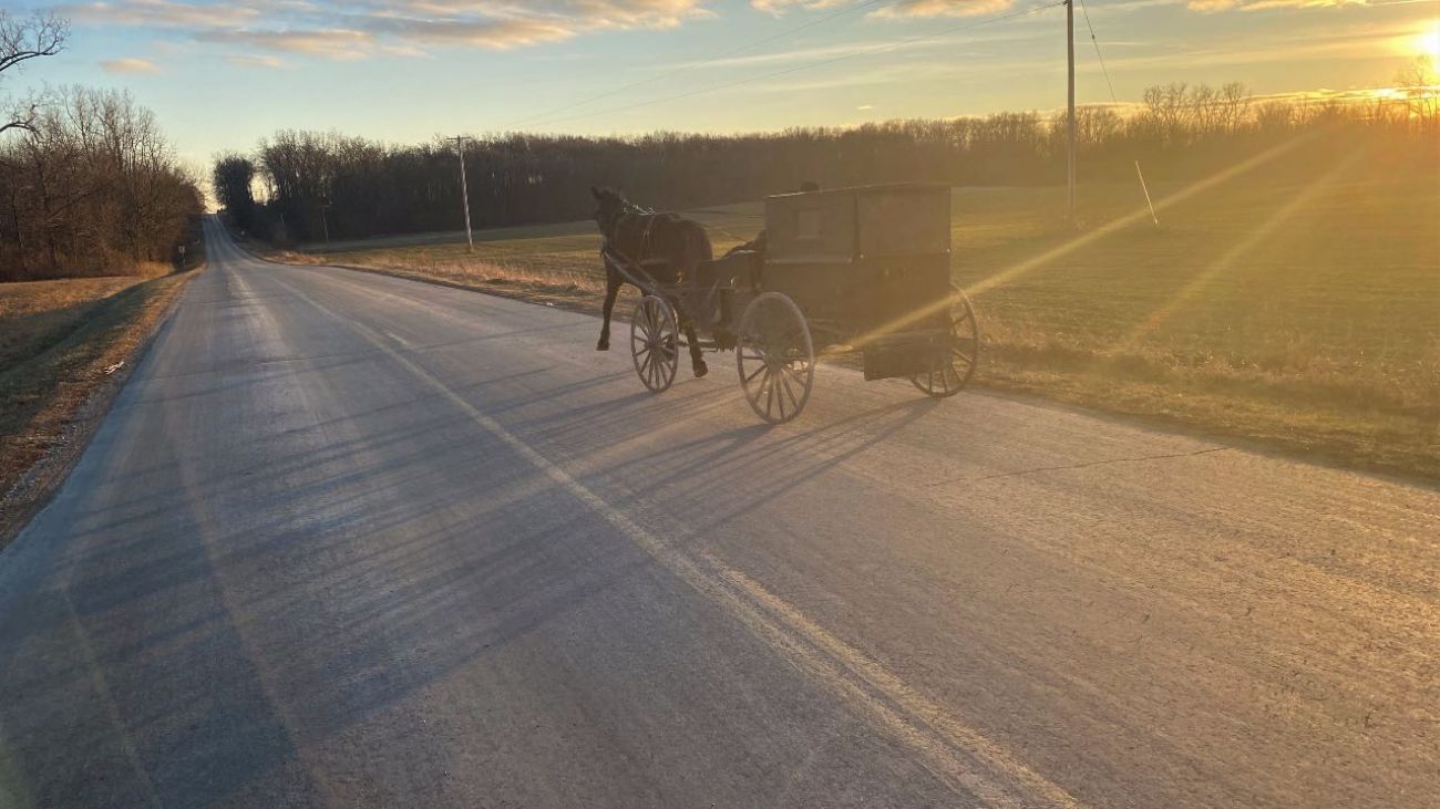 Amish buggy