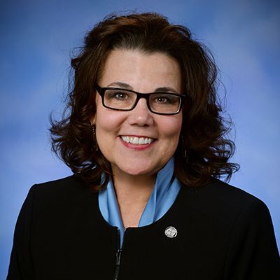 Michigan Rep. Ann Bollin headshot