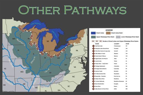 graphic of other pathways