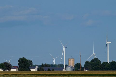 wind tribunes 