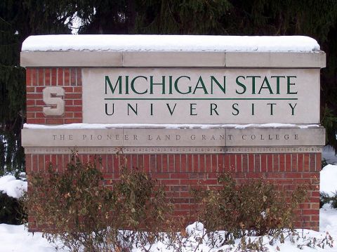 Michigan State University sign