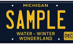 license plate