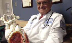 doctor next to a model of a heart