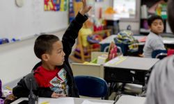 child raising hand in classroom