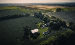 aerial view of green area