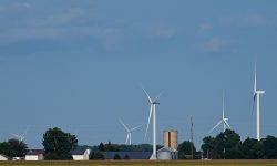 wind tribunes 