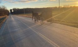 Amish buggy